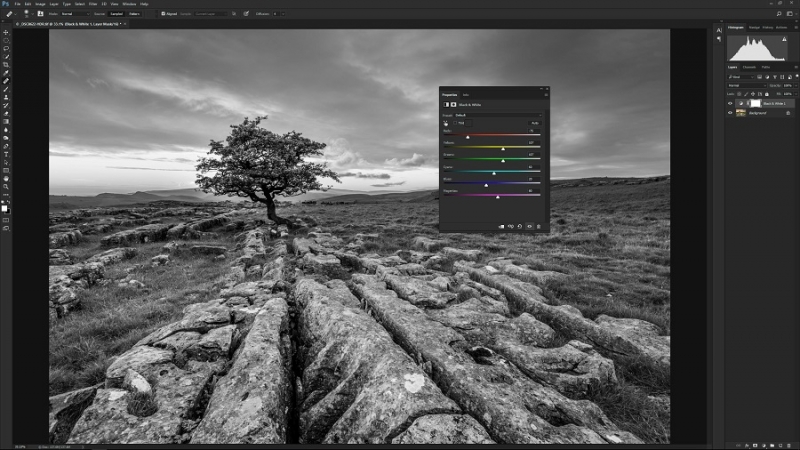 Cara mengedit foto di Photoshop: Konversi foto menjadi hitam dan putih
