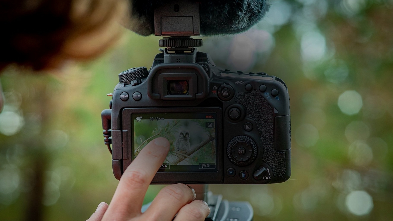 عکس از دوربین 90d canon